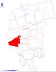 Area 11AE highlighted in red