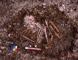 Overhead view of grave 2CC110